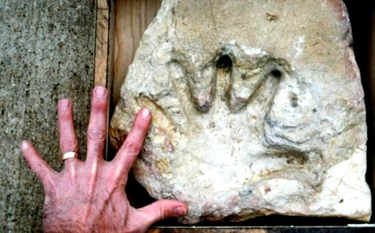 Источник: http://kujangxfile.blogspot.com/2011/02/a-fossilized-human-hand-print-out-of.html
