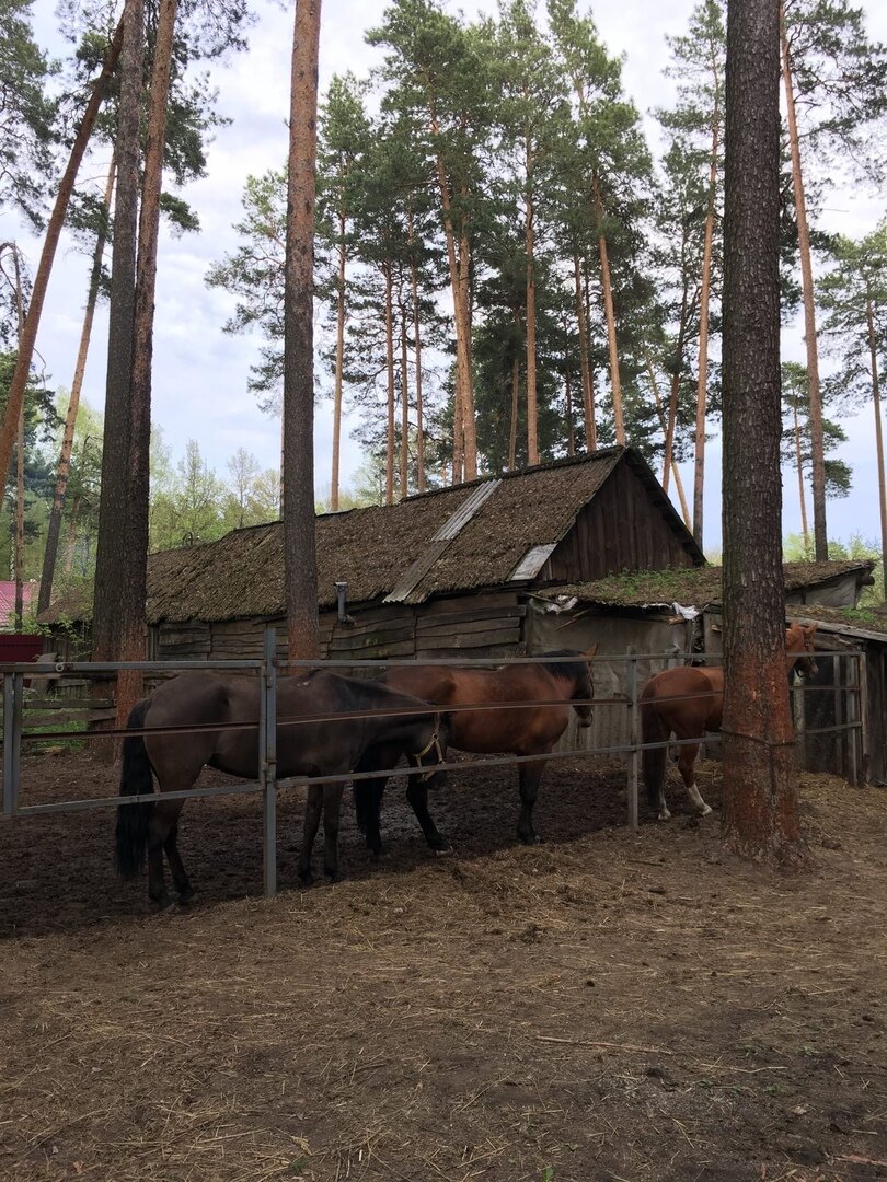 Клиенты. Нарушают социальную дистанцию. Фото из личного архива.