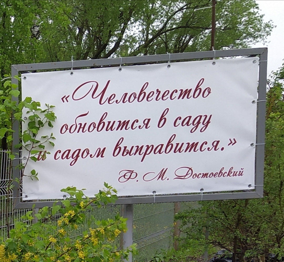 Взаимосвязь лёгких и растений объединяет нас в единый организм. (фото автора).