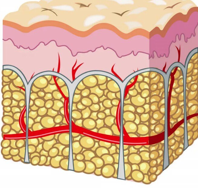 Источник Яндекс.Картинки