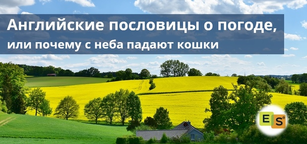 Английские пословицы о погоде, или почему с неба падают кошки | Easy ...