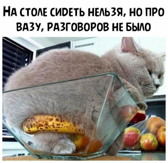 Один
