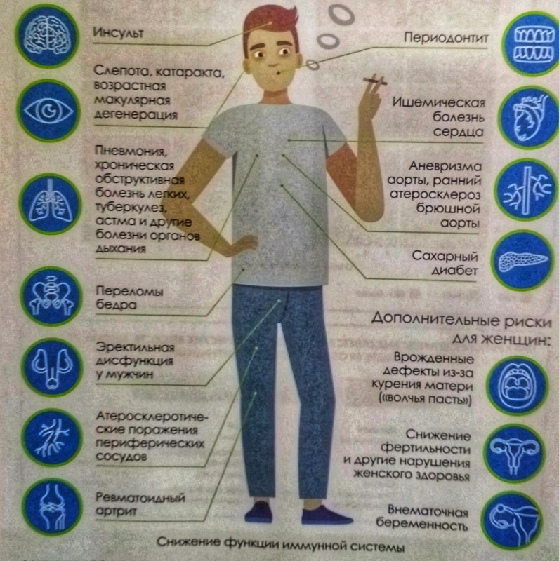 Картинки вред курения на организм человека