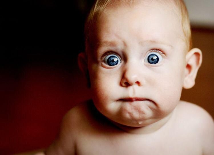 Может ли маленькая птичка, которая только расправила крылья, вести за собой стаю? 