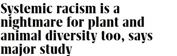 А вы что говорите? 