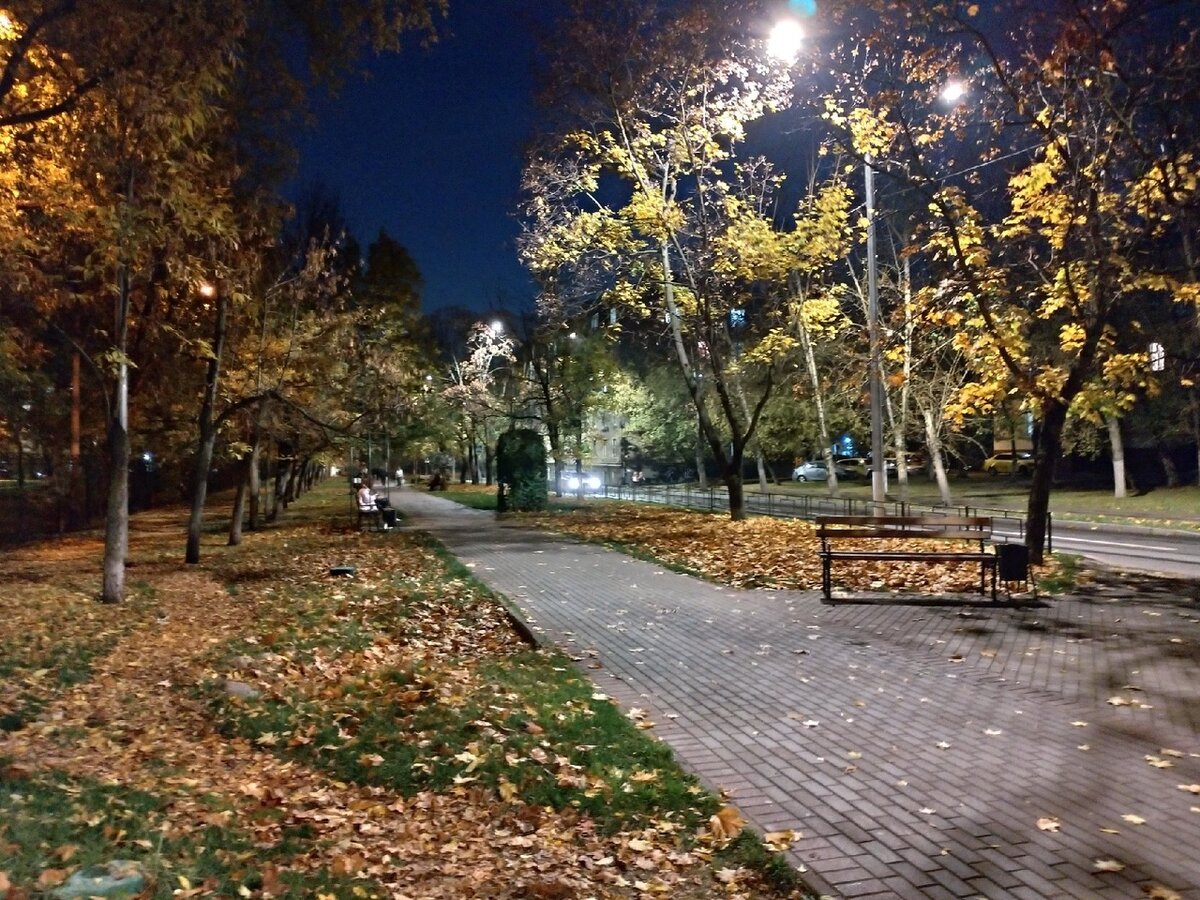  Фотография - осенняя дорога с работы, размышления