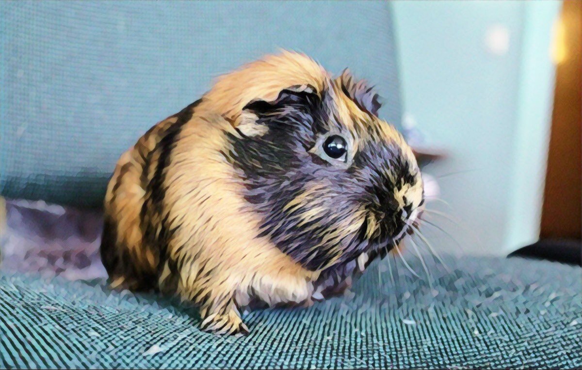 Фото из личного архива