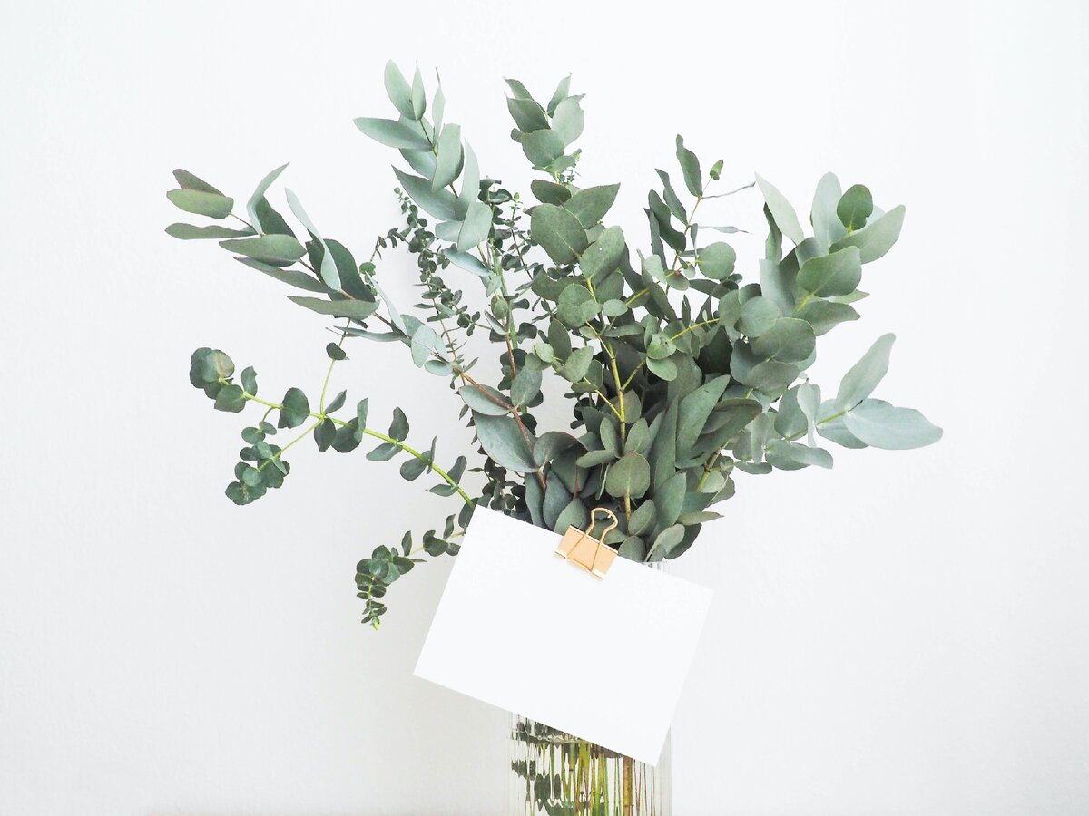 Photo by Helena Hertz on Unsplash