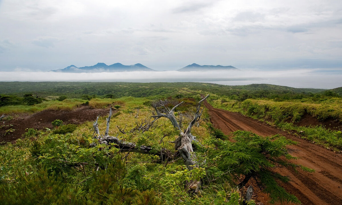 Дороги Итурупа.