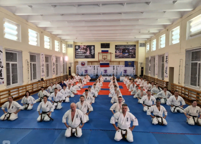 Источник фото http://askarate.ru/main/3093-v-yoshkar-ole-proshel-seminar-po-vsestilevomu-karate.html