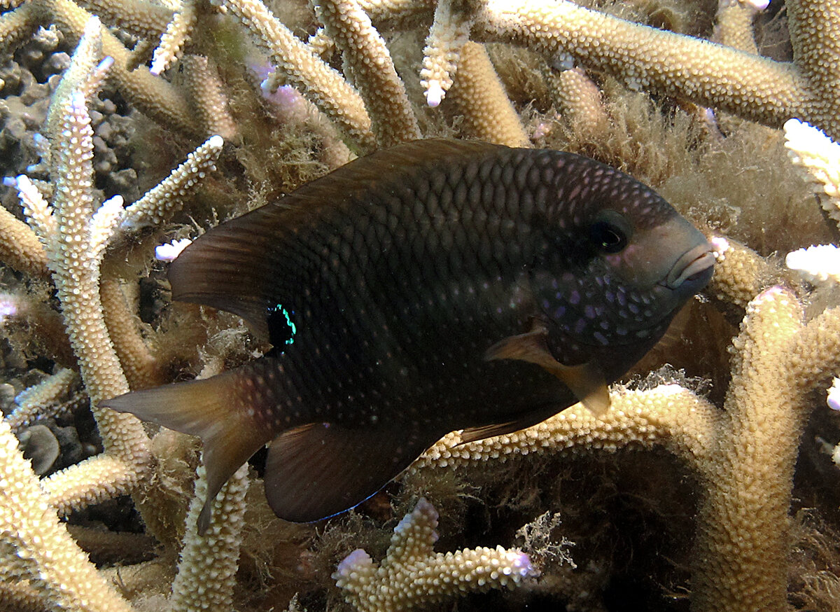 Источник: yandex.ru