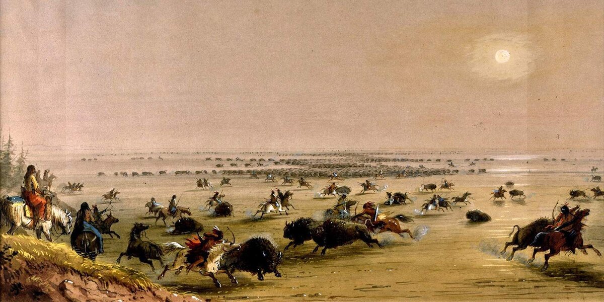 Индейская охота на бизонов 