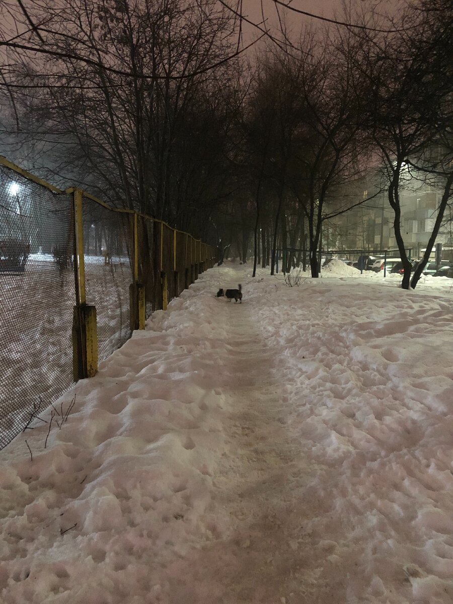 Так она выглядит сейчас