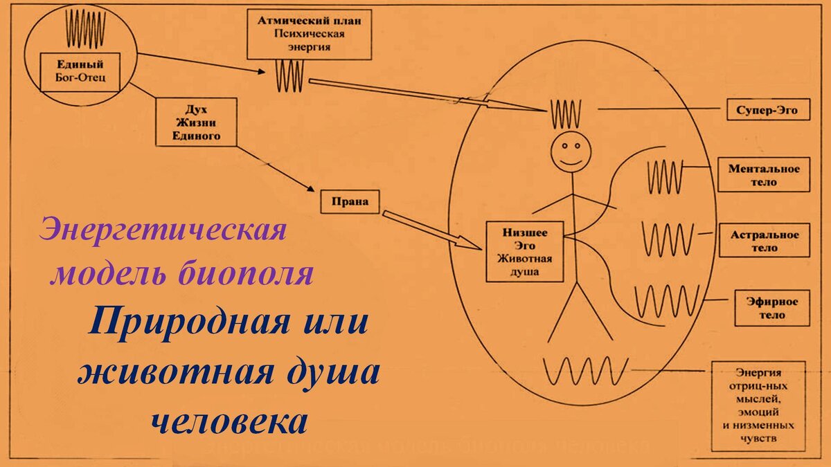 Схема природной души человека и взаимосвязи её с Богом-Отцом.
