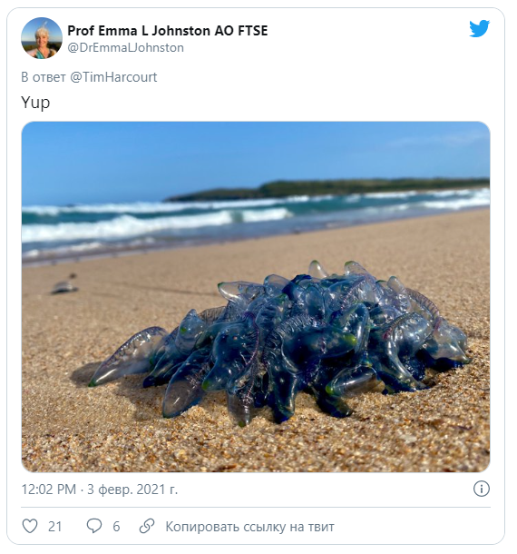 Твит профессора 