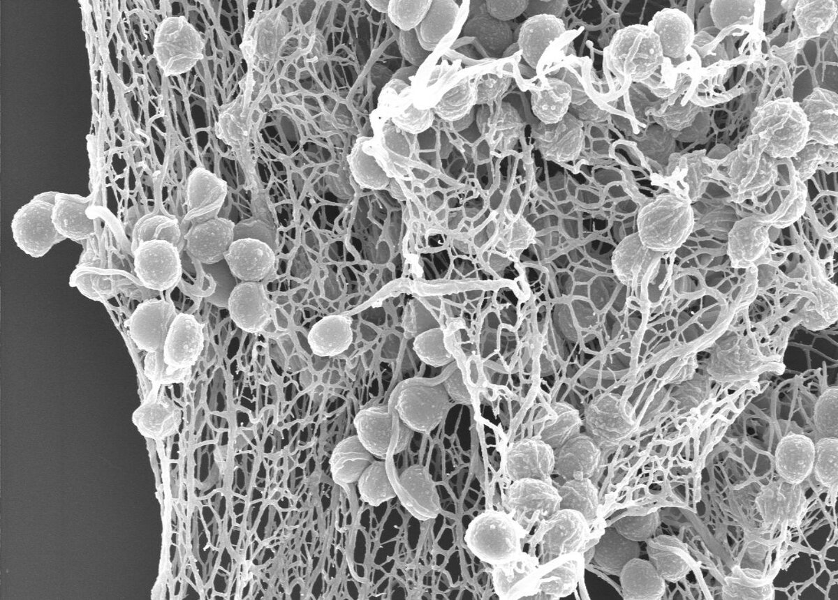 Молекулы под сильным увеличением микроскопа