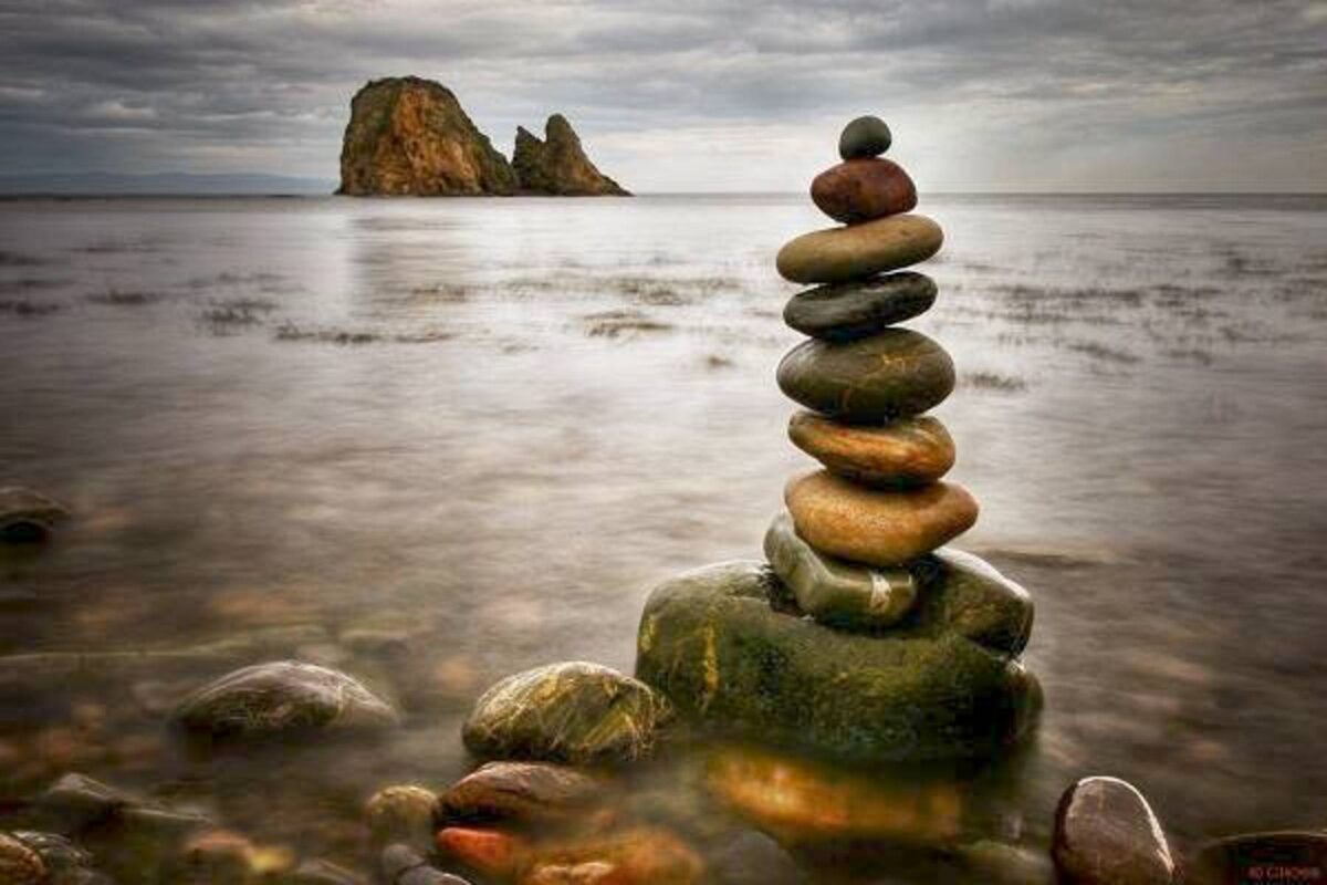 фотография из открытых источников