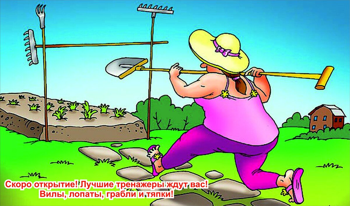 Картинка из интернета.