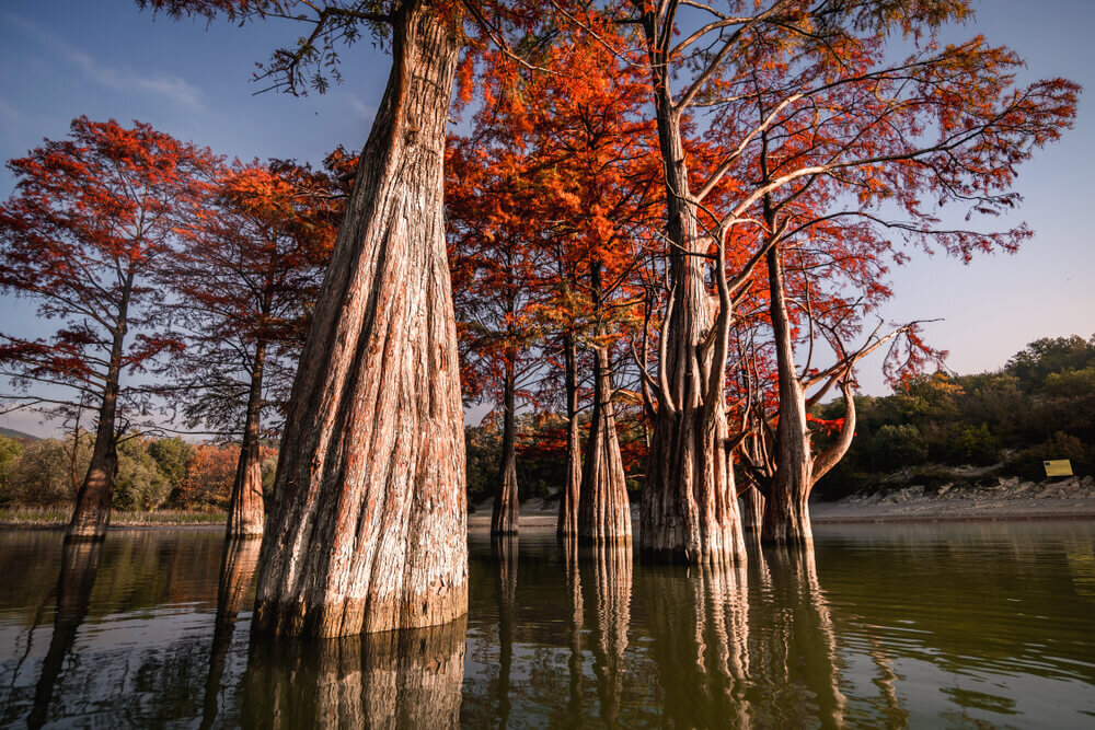 Фото: shutterstock.com 
