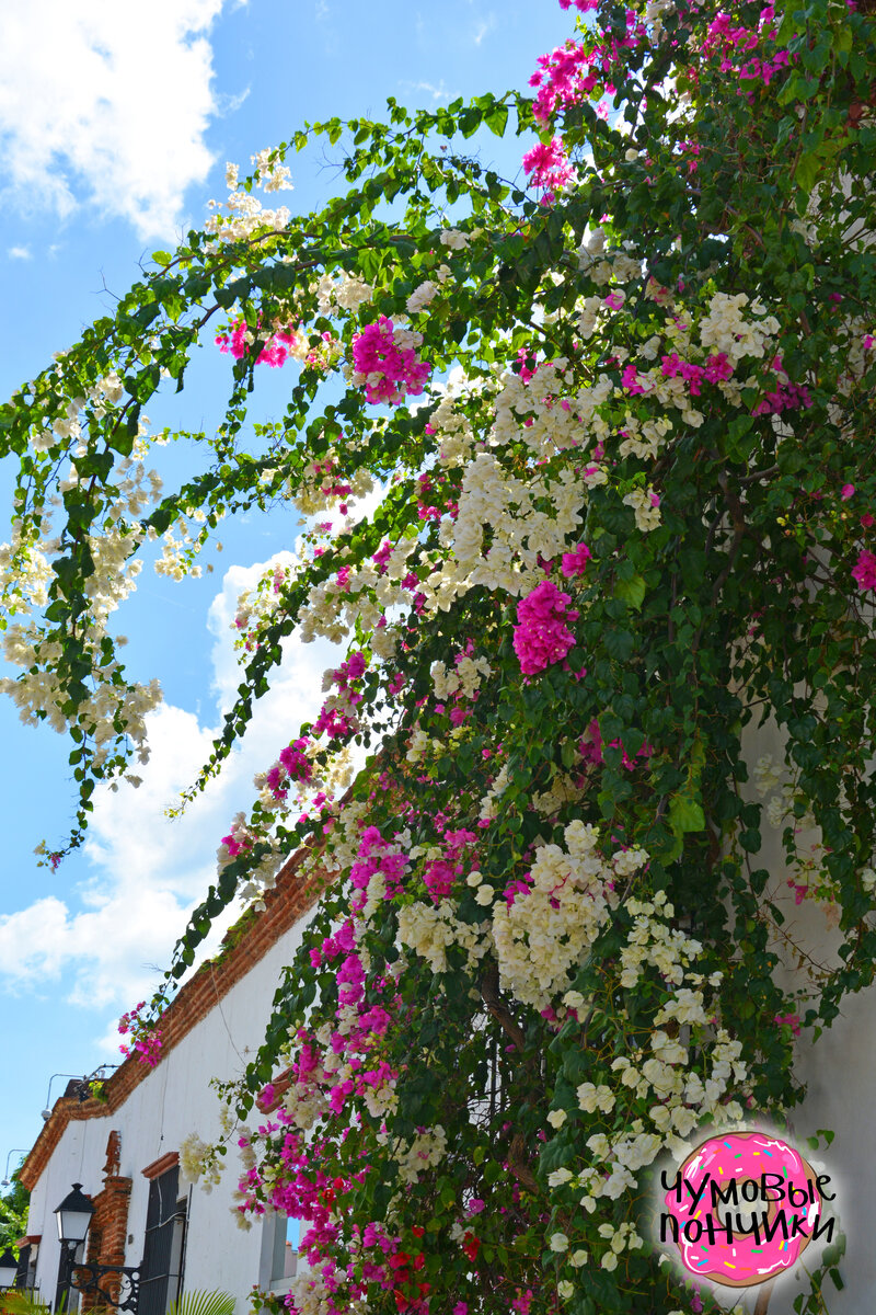 Фото авторское