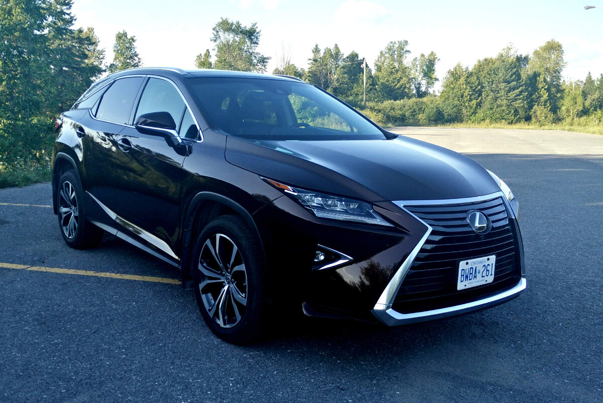 картинка с открытых источников - @yandex.ru