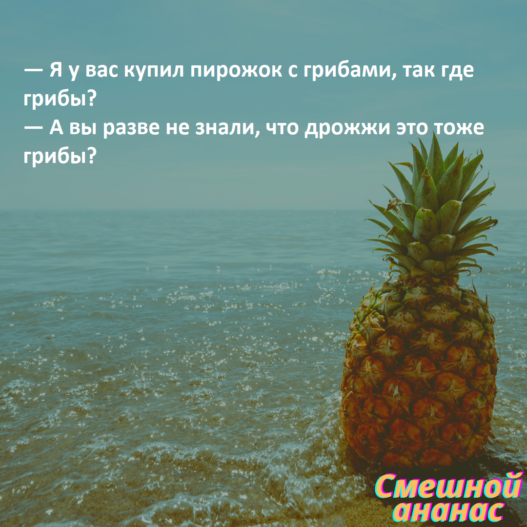 В электричке едут мама с сыном...Смешные анекдоты | Смешной ананас | Дзен