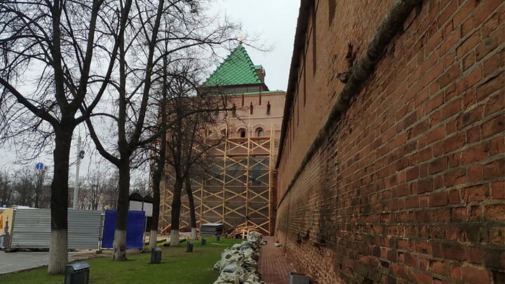 Фото: Анна Давыдова