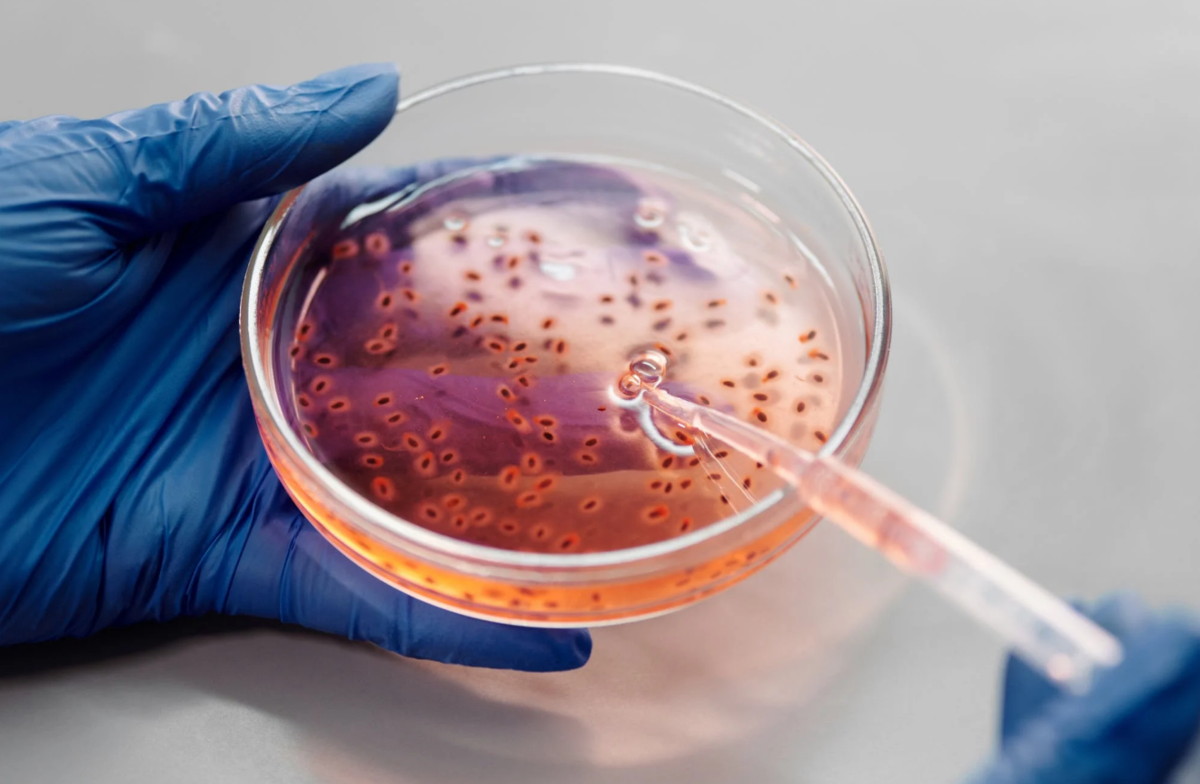 ДНК-генеалогия