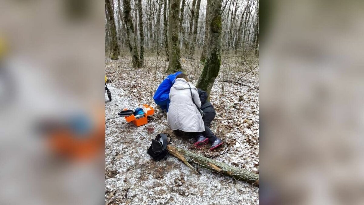     О женщине, которая пострадала из-за упавшего дерева в парке Победы, стало известно в социальных сетях.