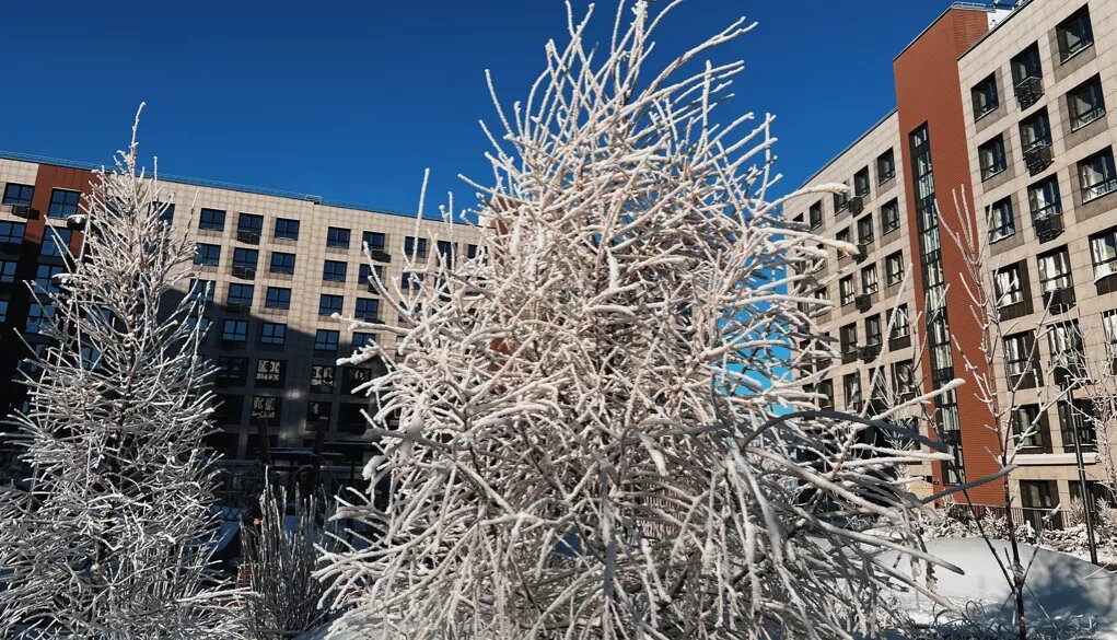 Фото: Урбан Медиа