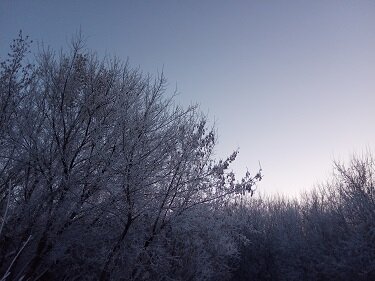 Фотография из личного архива автора