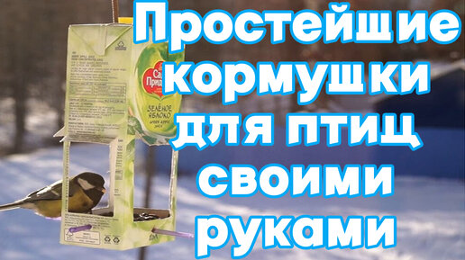 КОРМУШКА ДЛЯ ПТИЦ СВОИМИ РУКАМИ | из подручных средств за 2 минуты 🐣