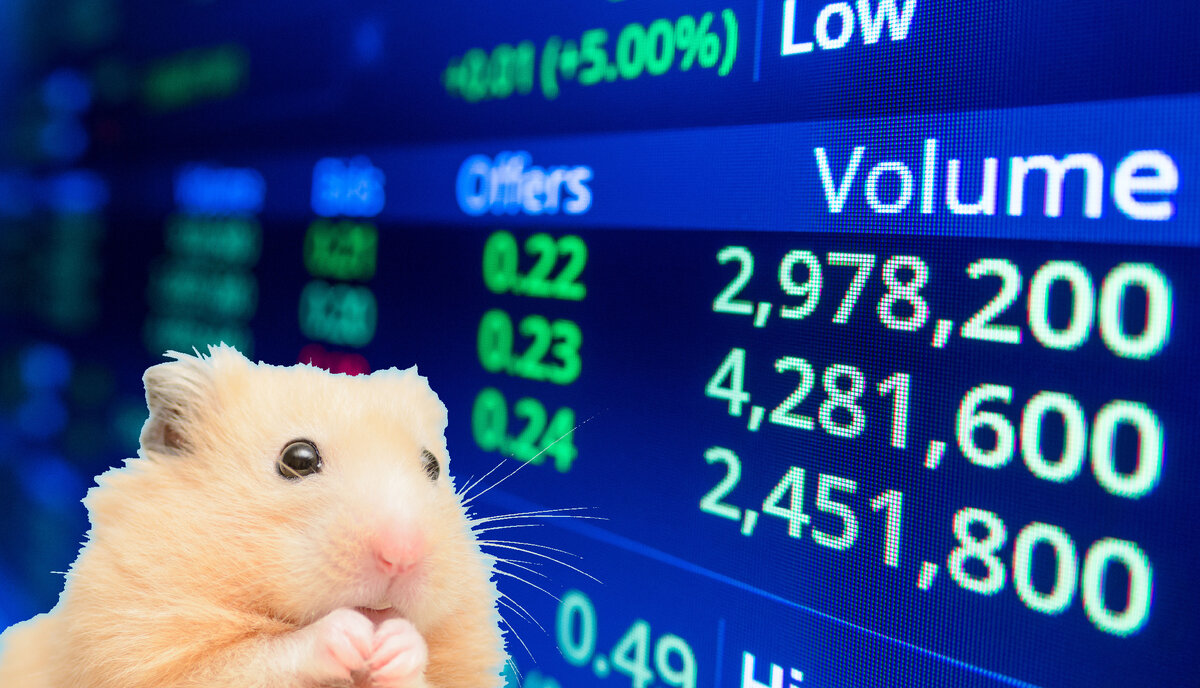 Частный инвестор