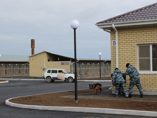     фото: мвд калмыкии