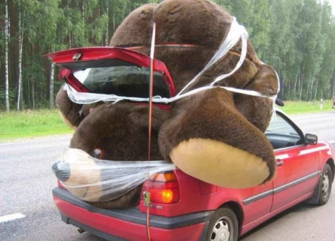 Смешные подарки. Смешной подарок девушке. Плюшевый медведь в машине. Прикольный плюшевый мишка. Самая бестолковая