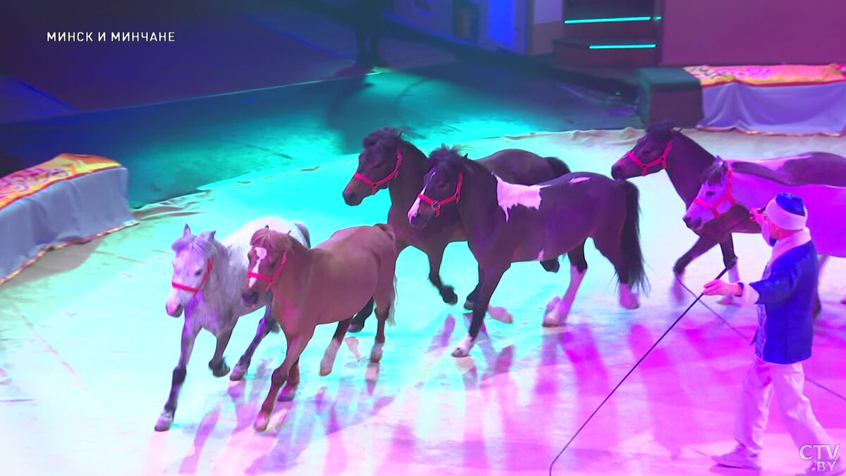 Белгосцирк в минске. Представление в цирке в минске. Минск. Цирк минск. Цирк.