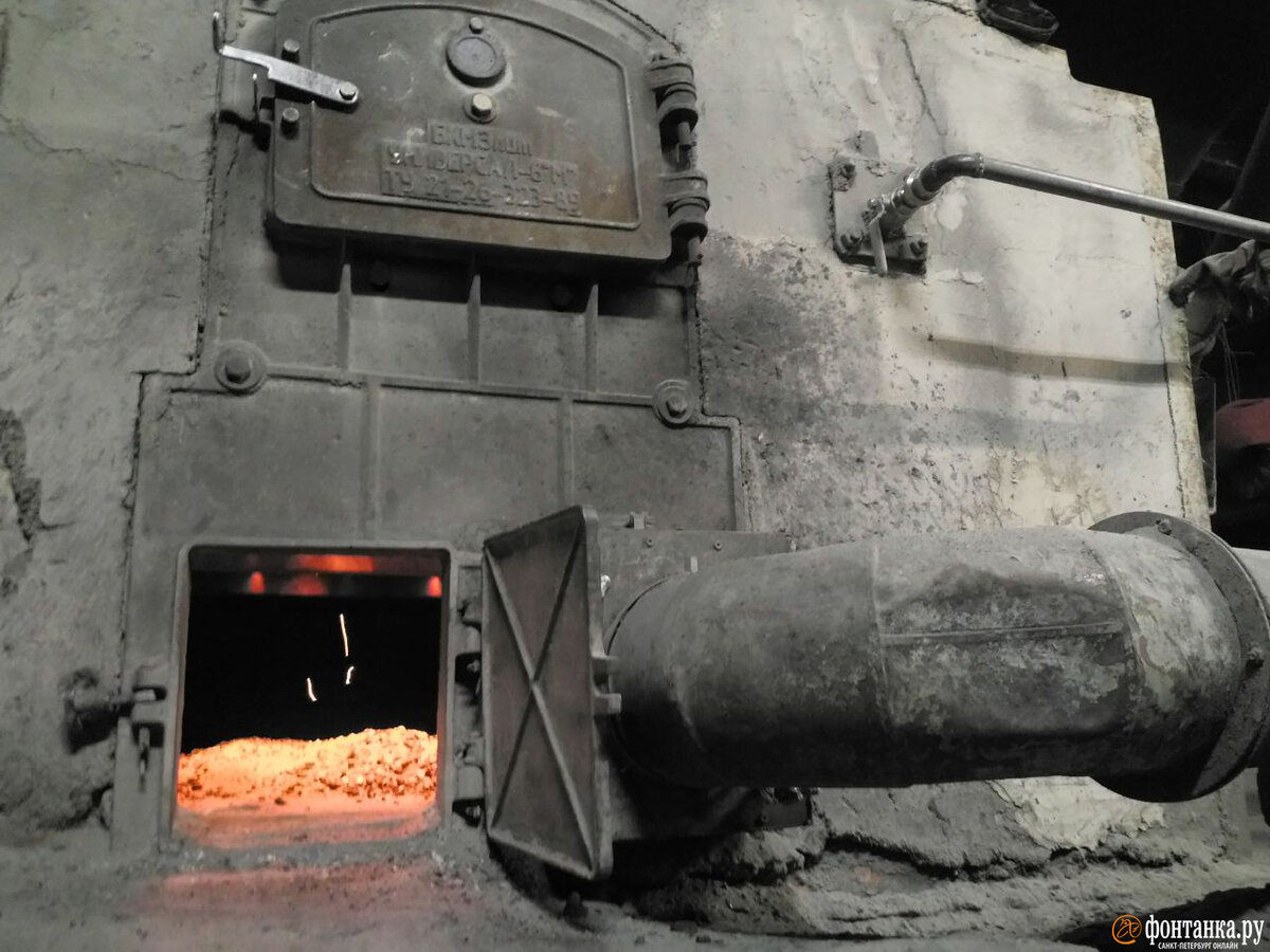   
 Фото: Алина Циопа/«Фонтанка.ру»