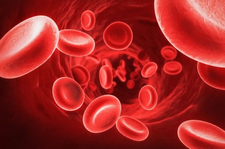 Красные клетки крови - эритроциты