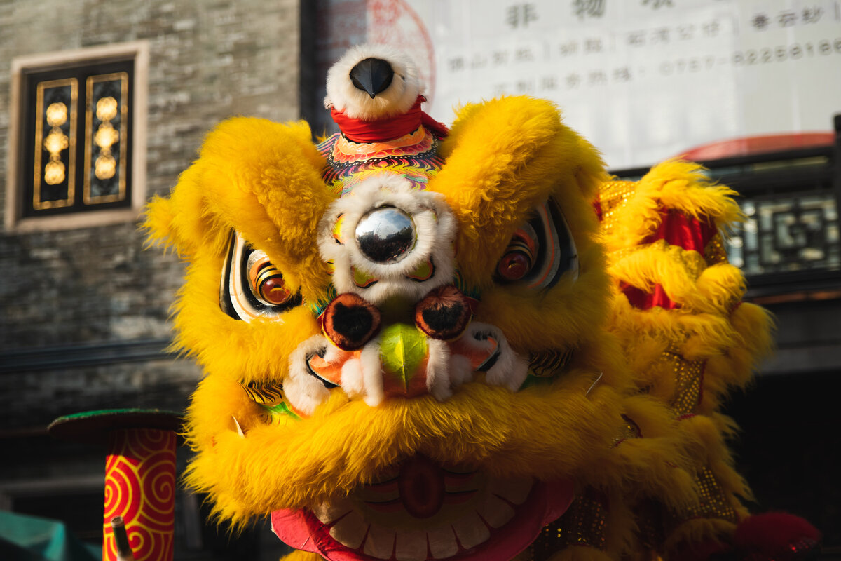 Photo by Matt Zhang on Unsplash