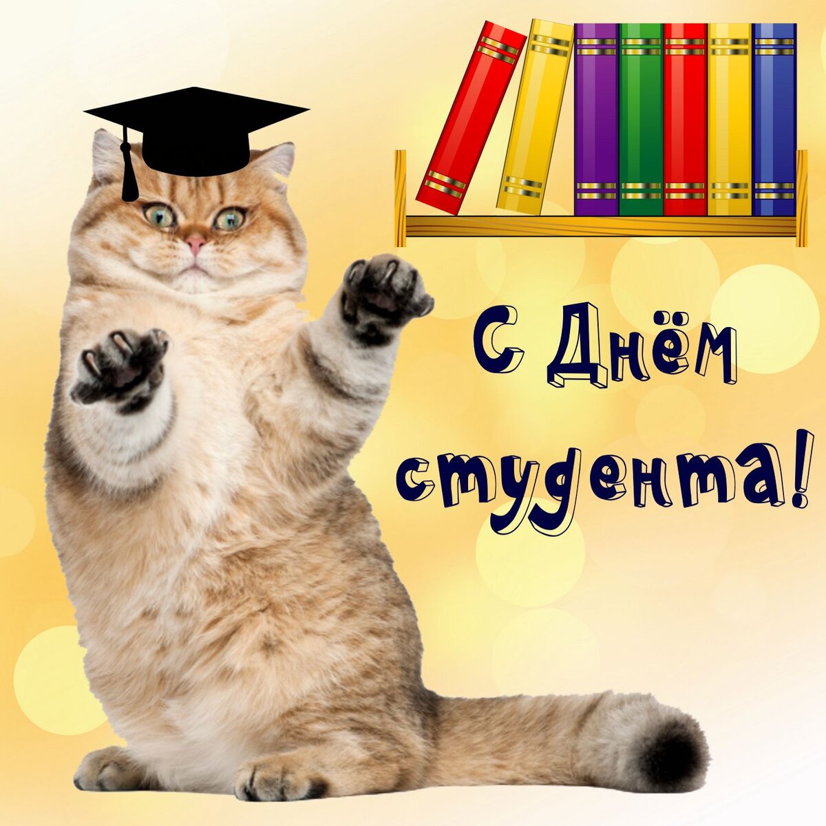 Яндекс-картинка 