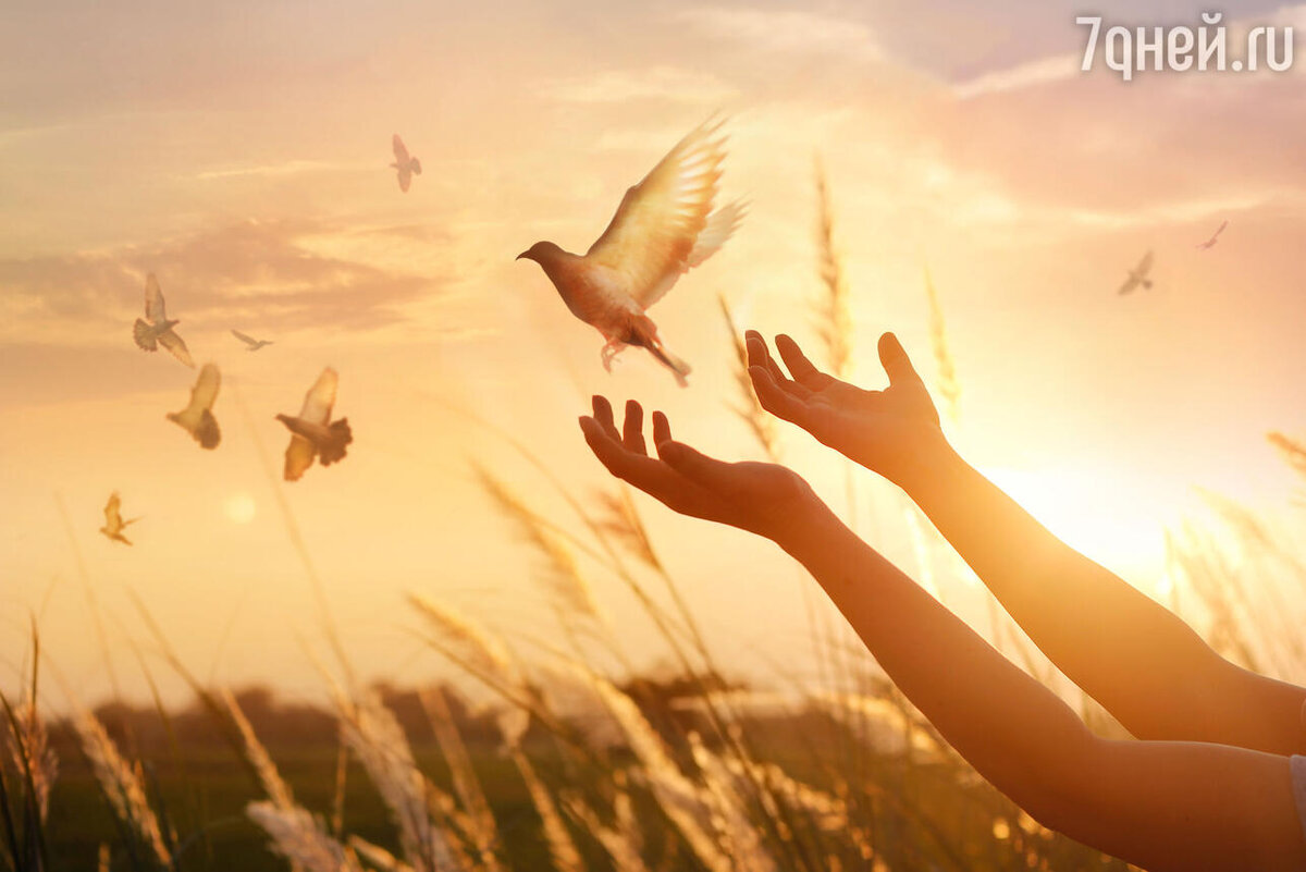    К чему снятся птицы 123RF/legion-media.ru