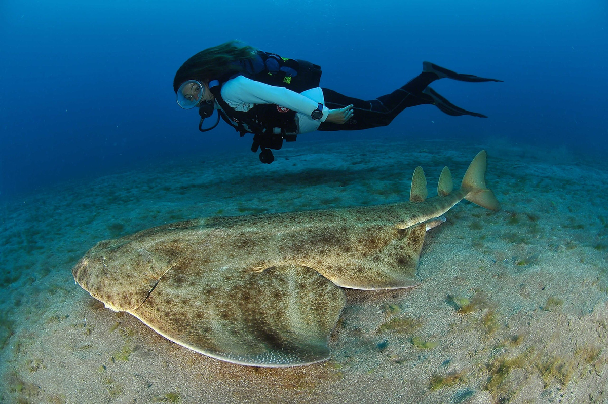 — О, ангел!
— О, человек!