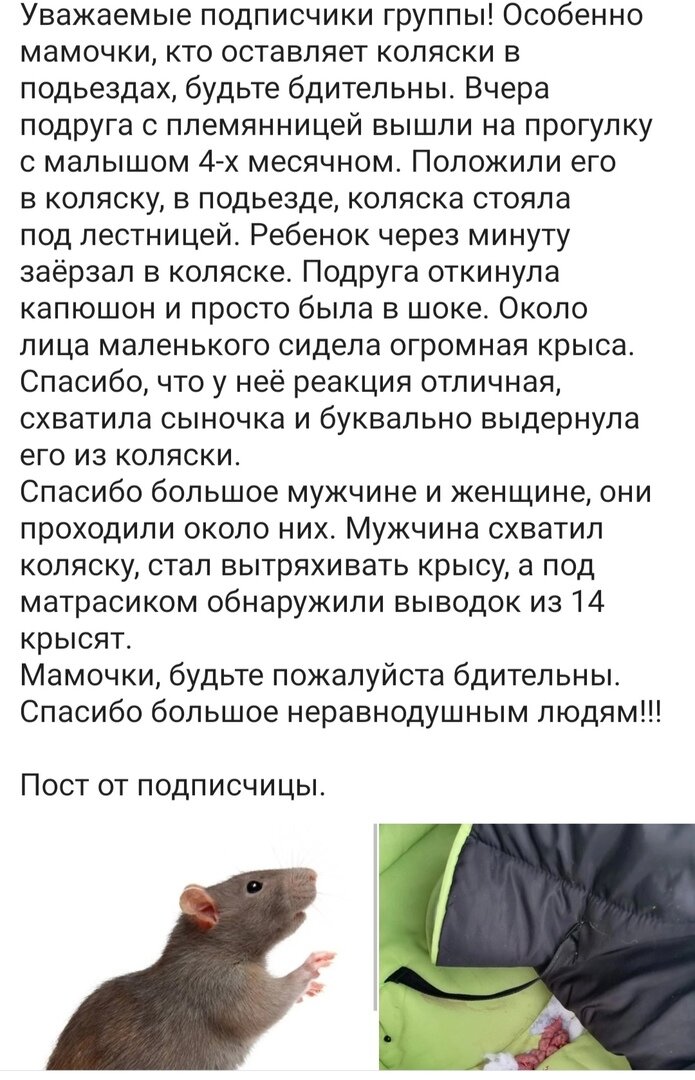 Мужчина выследил школьницу на улице, зашел за ней в подъезд и схватил за ягодицы