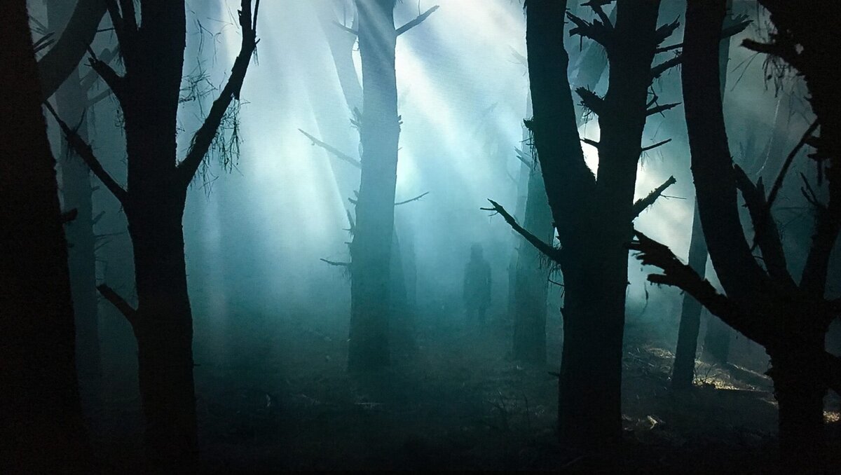Легенды, связанные с этими лесами, означают, что вы скорее удивитесь безголовому духу, чем обнаружите группу пушистых медвежат