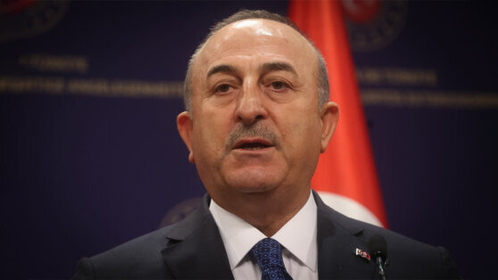    В Анкаре сообщили о подготовке встречи глав МИД Турции, России, Ирана и Сирии Ирина Петрова