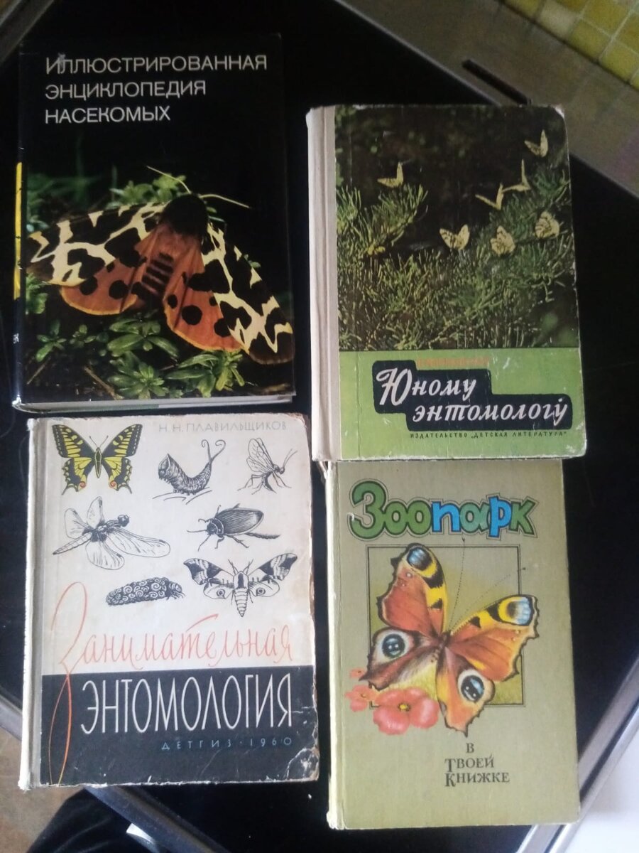 Некоторые из этих книг будут выставлять в Книжной лавке читателя