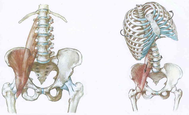 Подвздошно поясничная мышца упражнения