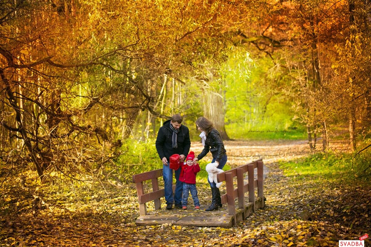 Гулял октябрь. Осень в парке. Осенняя прогулка. Прогулка в парке осенью. Прогулка по осеннему лесу.