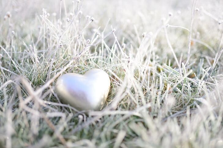 Фото: Pixabay