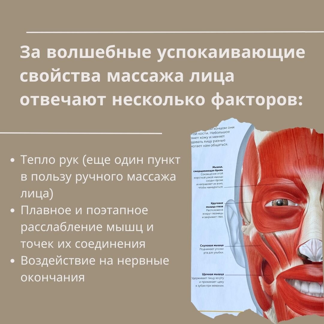 Краткое описание основных факторов массажа лица, влияющих на снижение уровня стресса
